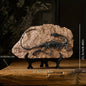 Miniature Dinosaur Fossil Replica