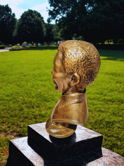 Mandela  Bust