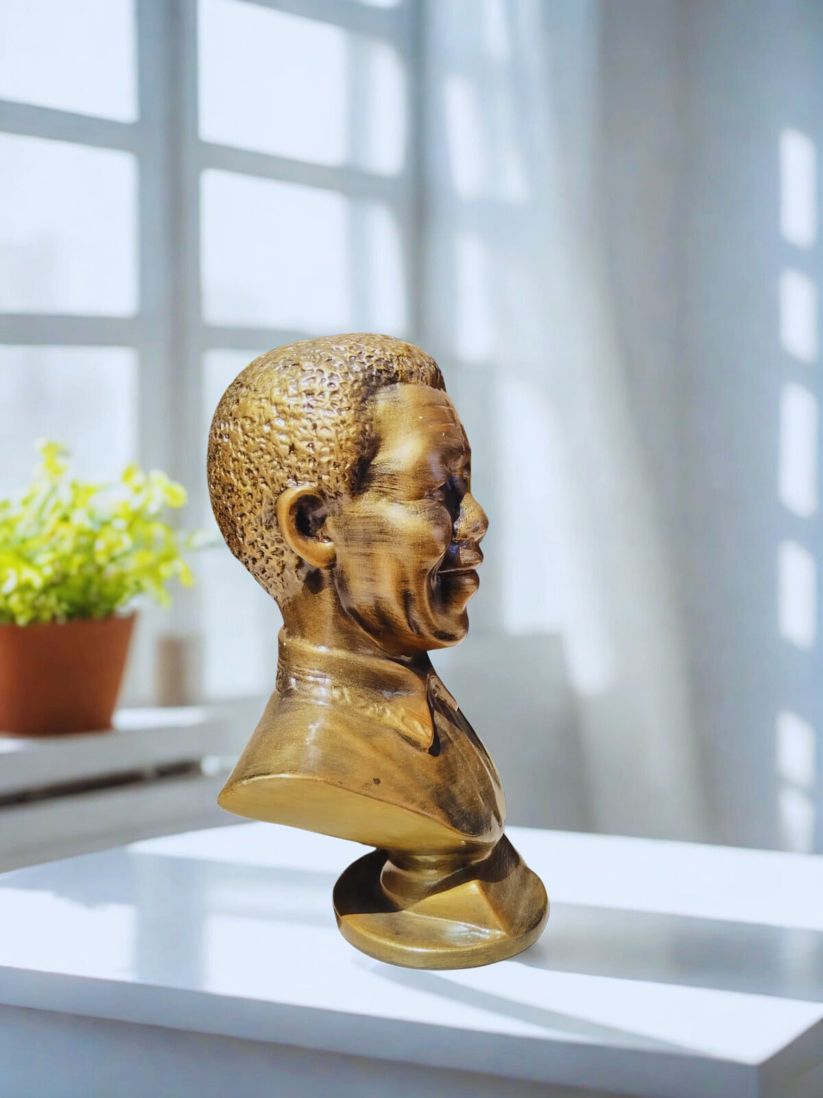Mandela  Bust