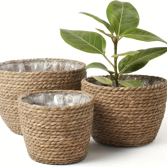 Seagrass Planters - Set of 3